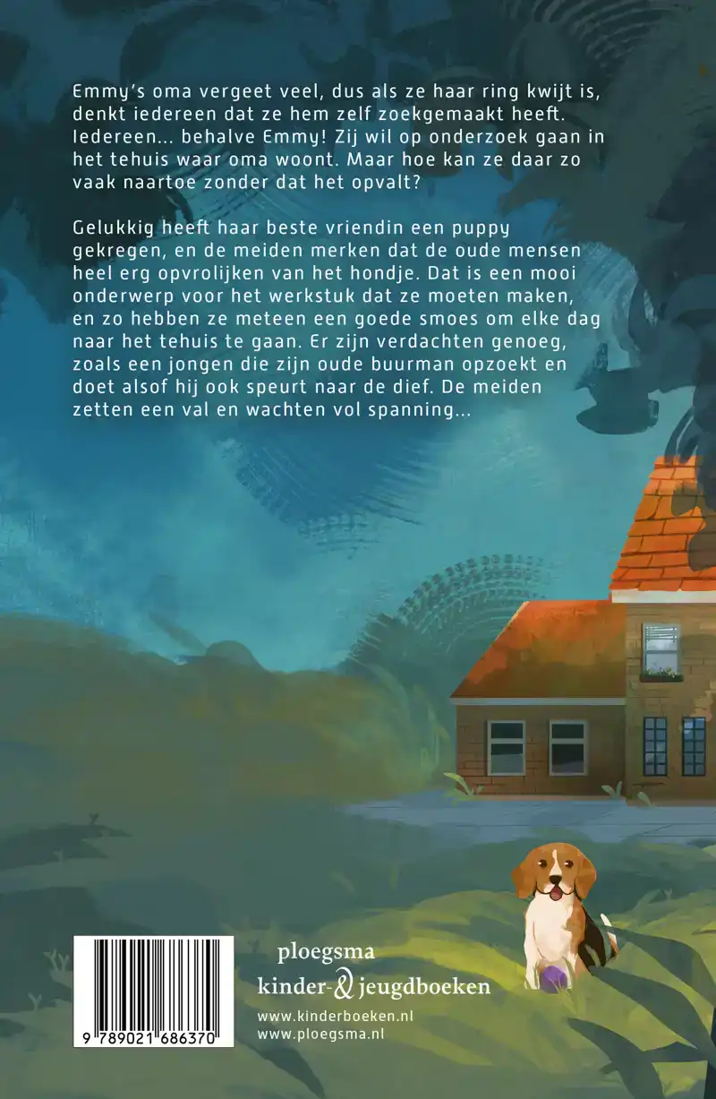 HET RAADSEL VAN DE VERDWENEN RING