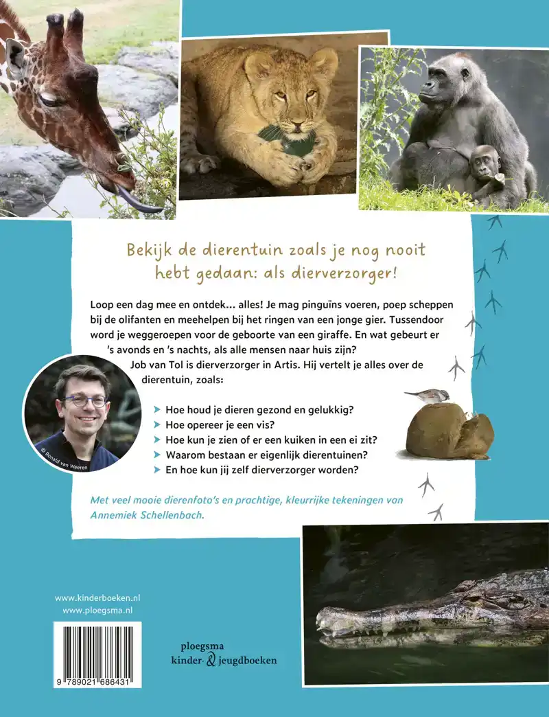 GIEREN MET DE PINGUINS