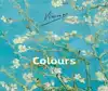 VINCENT - COLOURS