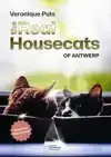 THE REAL HOUSECATS OF ANTWERP