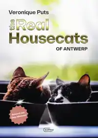 THE REAL HOUSECATS OF ANTWERP