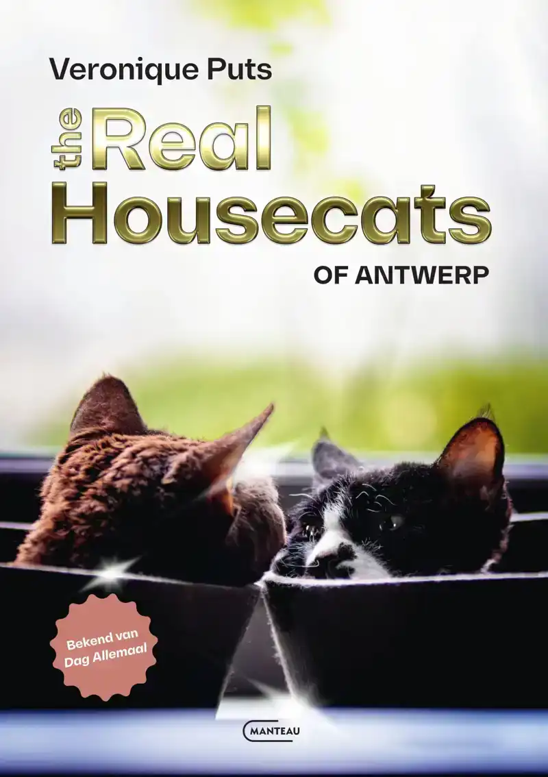 THE REAL HOUSECATS OF ANTWERP