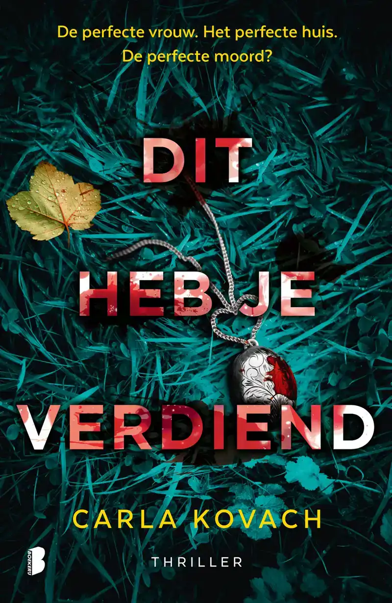 DIT HEB JE VERDIEND