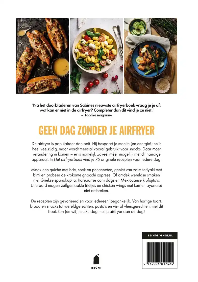 HET AIRFRYERBOEK