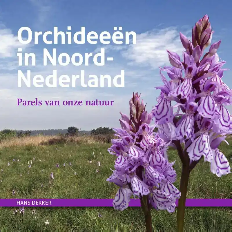 ORCHIDEEEN IN NOORD-NEDERLAND