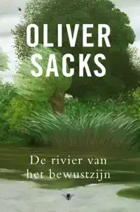 DE RIVIER VAN HET BEWUSTZIJN