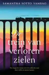 DE TREIN VAN VERLOREN ZIELEN