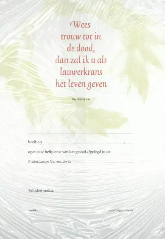 BELIJDENISKAART 302