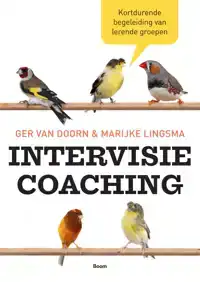 INTERVISIECOACHING