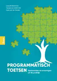 PROGRAMMATISCH TOETSEN