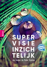 SUPERVISIE INZICHTELIJK