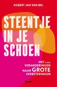 STEENTJE IN JE SCHOEN