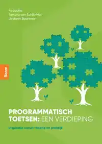 PROGRAMMATISCH TOETSEN: EEN VERDIEPING