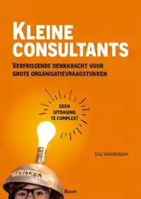 KLEINE CONSULTANTS