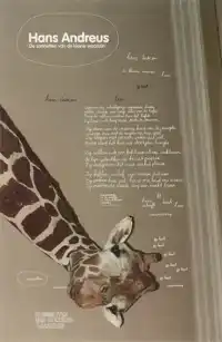 DE SONNETTEN VAN DE KLEINE WAANZIN