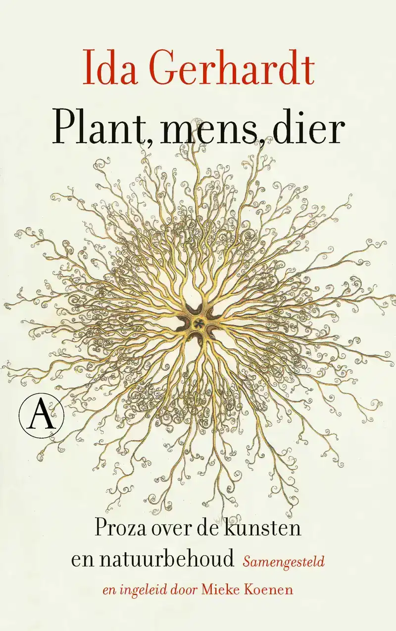 PLANT, MENS, DIER