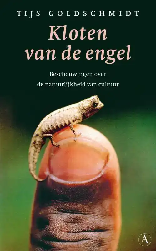 KLOTEN VAN DE ENGEL