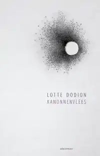 KANONNENVLEES