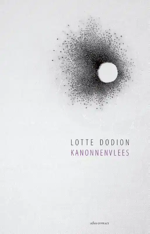 KANONNENVLEES