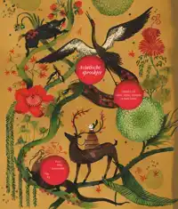 AZIATISCHE SPROOKJES