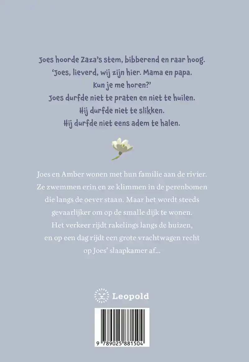 HET KLEINE HUIS BIJ DE RIVIER