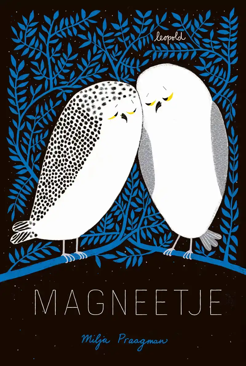MAGNEETJE