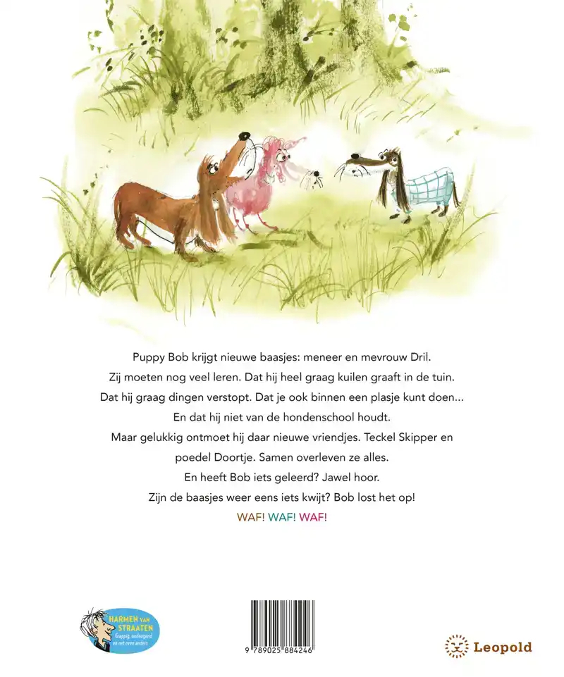 PUPPY BOB LOST HET OP