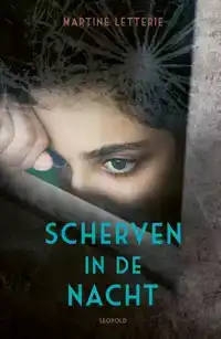 SCHERVEN IN DE NACHT