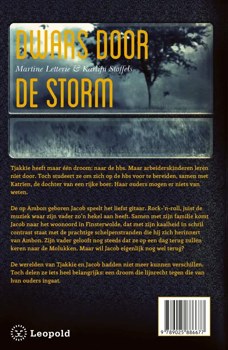 DWARS DOOR DE STORM