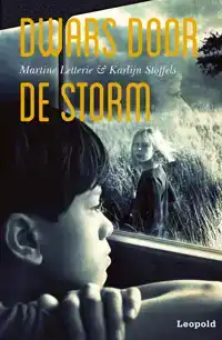 DWARS DOOR DE STORM