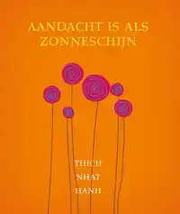 AANDACHT IS ALS ZONNESCHIJN