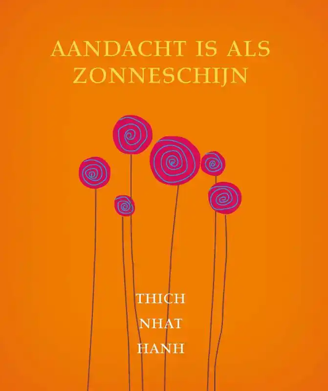 AANDACHT IS ALS ZONNESCHIJN