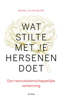 WAT STILTE MET JE HERSENEN DOET