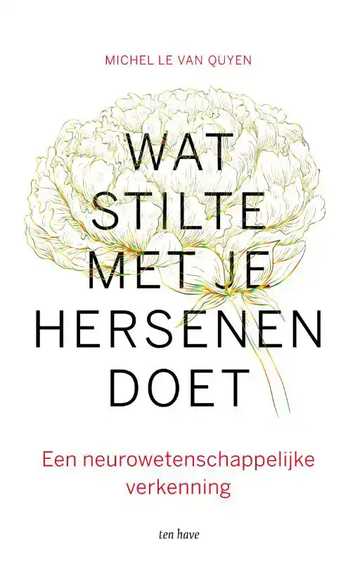 WAT STILTE MET JE HERSENEN DOET