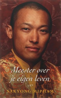 MEESTER OVER JE EIGEN LEVEN