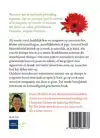 BEVRIJD JEZELF VAN ANGSTEN EN OUDE GEWOONTEN