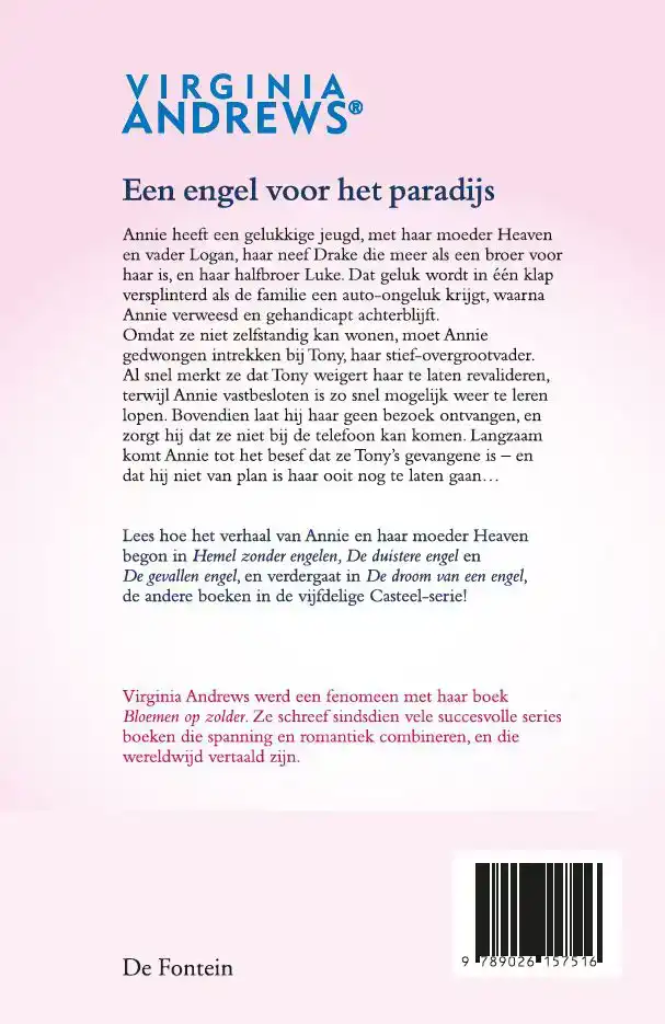 EEN ENGEL VOOR HET PARADIJS
