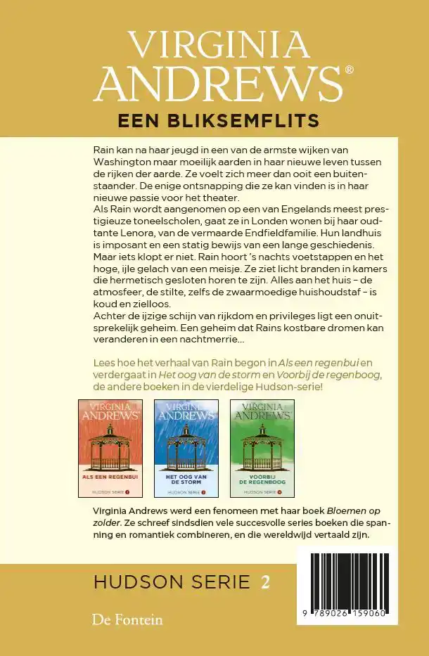 EEN BLIKSEMFLITS