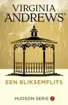 EEN BLIKSEMFLITS
