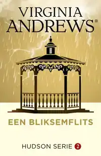 EEN BLIKSEMFLITS
