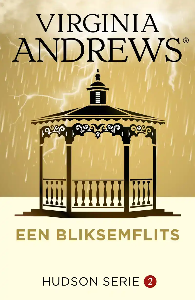 EEN BLIKSEMFLITS
