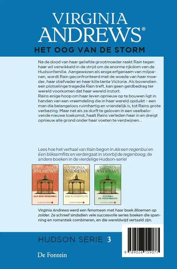 HET OOG VAN DE STORM