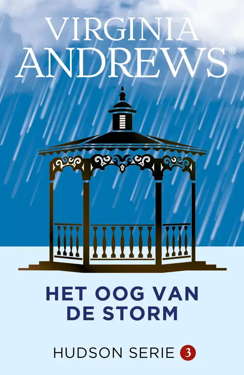HET OOG VAN DE STORM