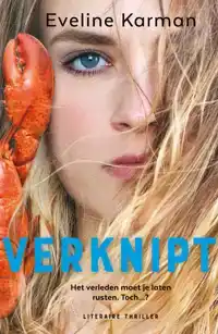 VERKNIPT