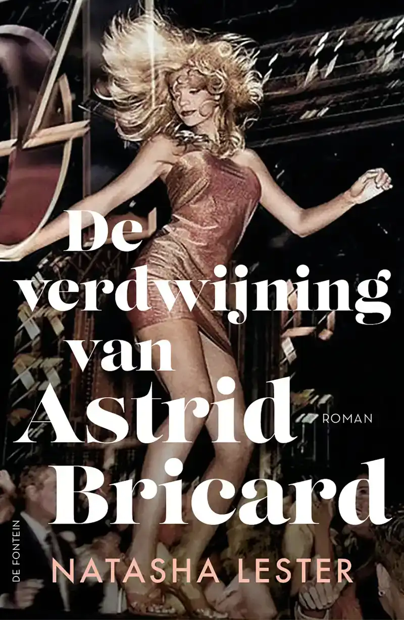 DE VERDWIJNING VAN ASTRID BRICARD