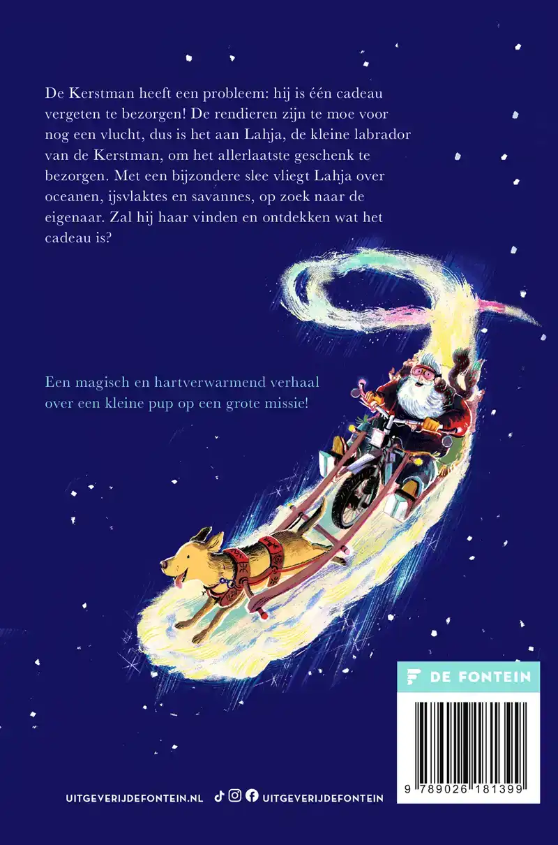 HET ALLERLAATSTE KERSTCADEAU