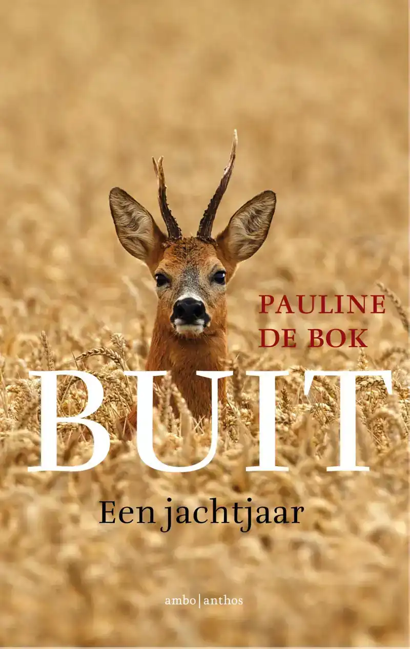 BUIT