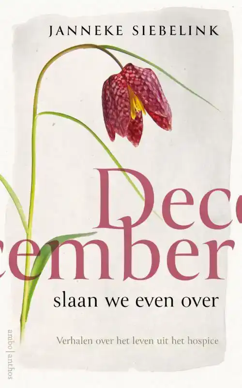 DECEMBER SLAAN WE EVEN OVER