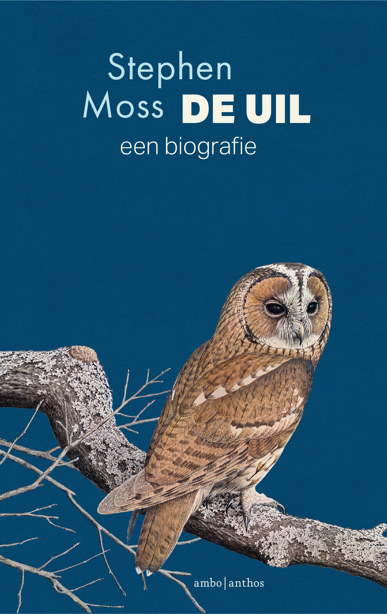 DE UIL