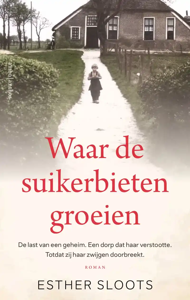 WAAR DE SUIKERBIETEN GROEIEN